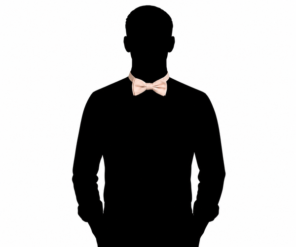 Little Sparrow Bow Tie